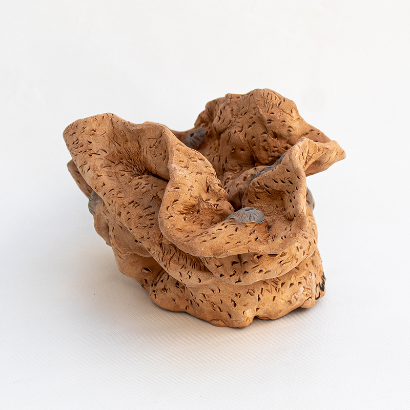 Tierra copada