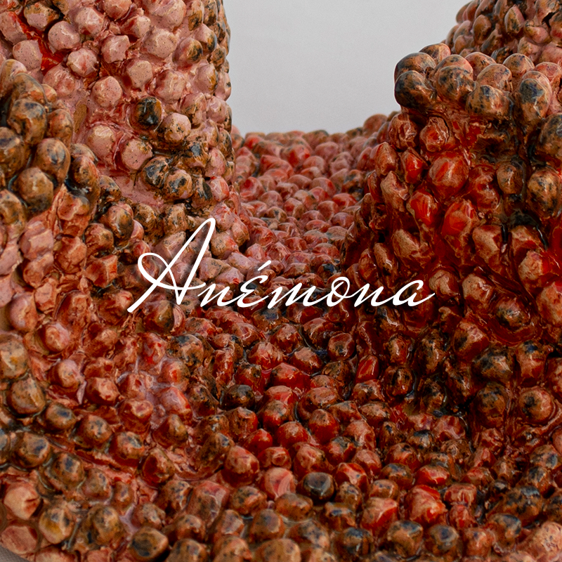Anemona